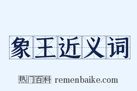象王近义词是什么意思的图片
